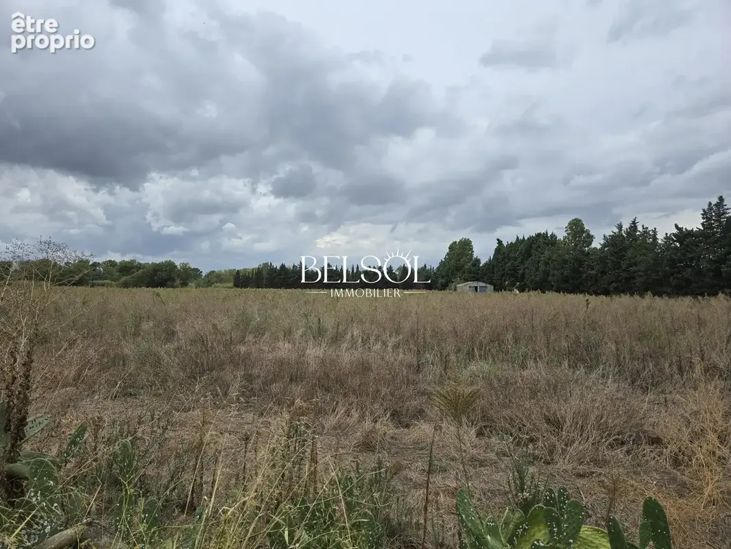 Terrain 69 131 m² à vendre à Elne (66200) - photo 2