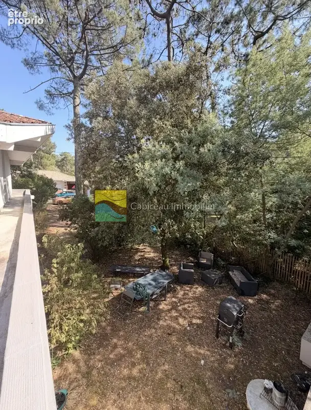 Lacanau Lac - Villa d'architecte à 50 m de l'eau - photo 5