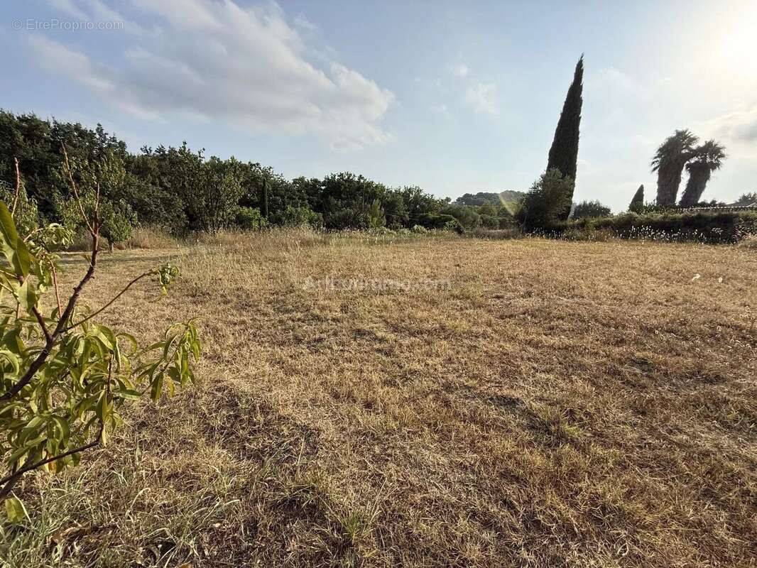 Vente Terrain Clermont-l'herault(34800) 149 000ï¿œ - photo 5