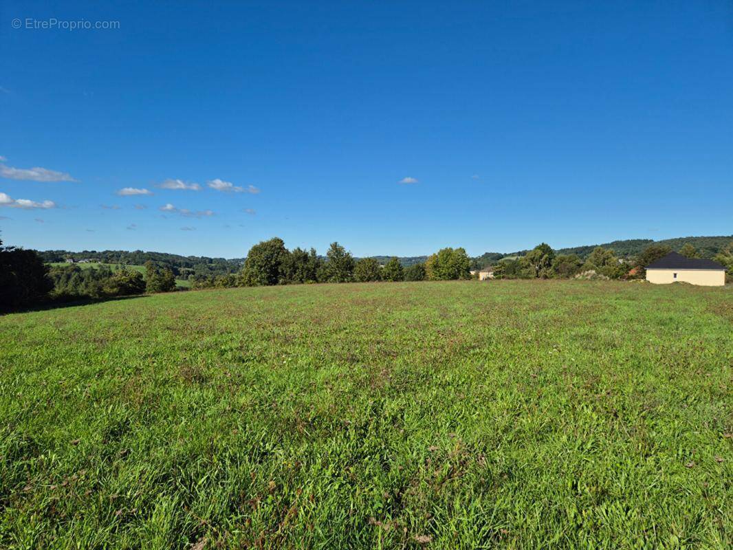 Terrain à SAINT-HILAIRE-PEYROUX