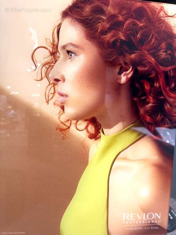 Commerce à LE CHESNAY