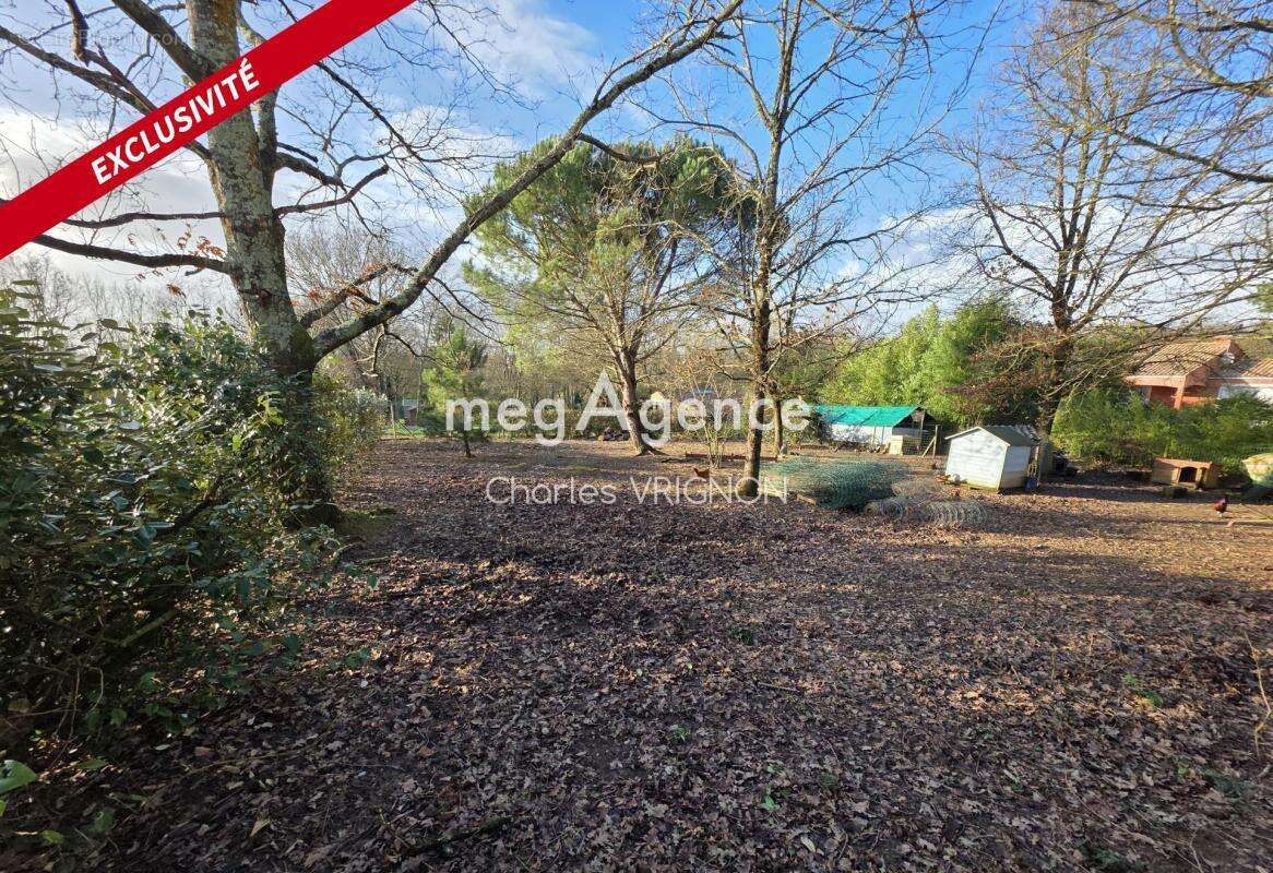 Terrain à TALMONT-SAINT-HILAIRE