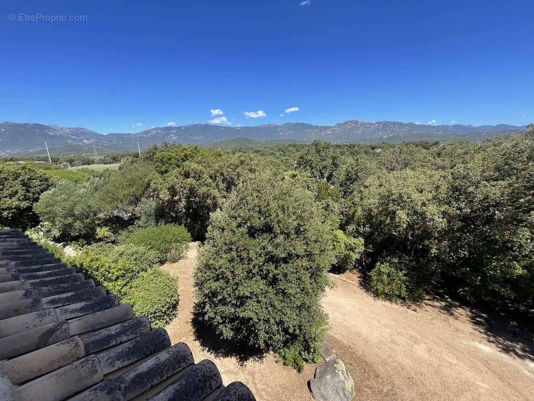 Maison à PORTO-VECCHIO