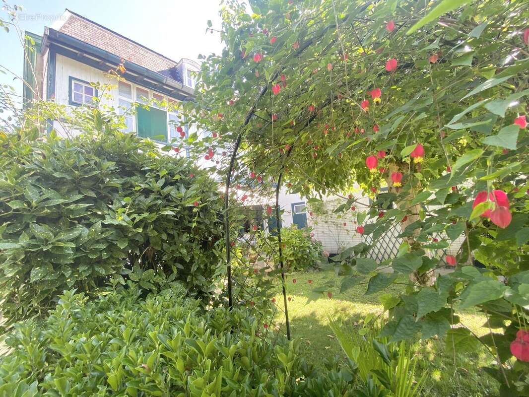 Photo 3 - Maison à MAULEON-LICHARRE