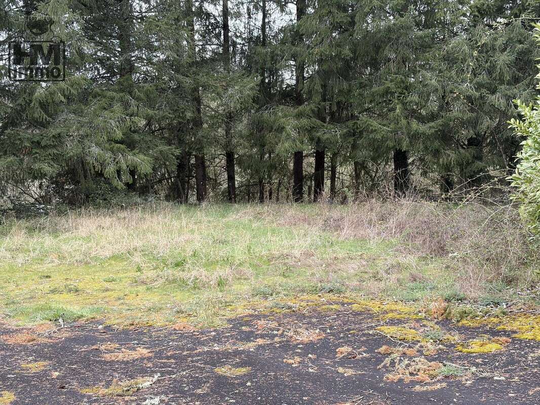 n°3 - Commerce à OBJAT