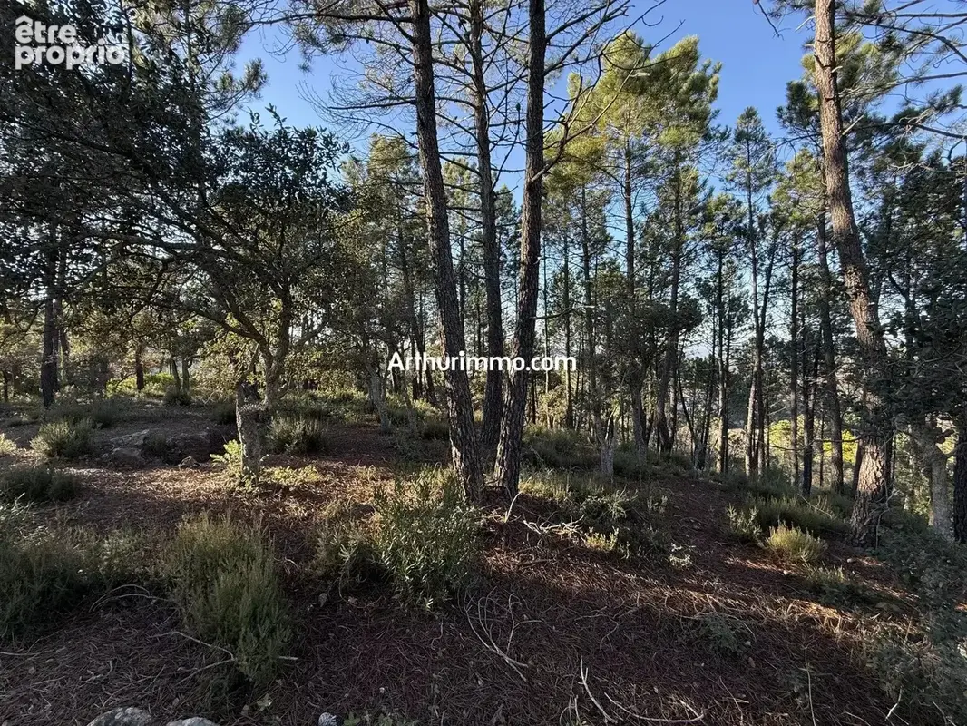 Vente Terrain Vidauban(83550) 125 000ï¿œ - photo 3