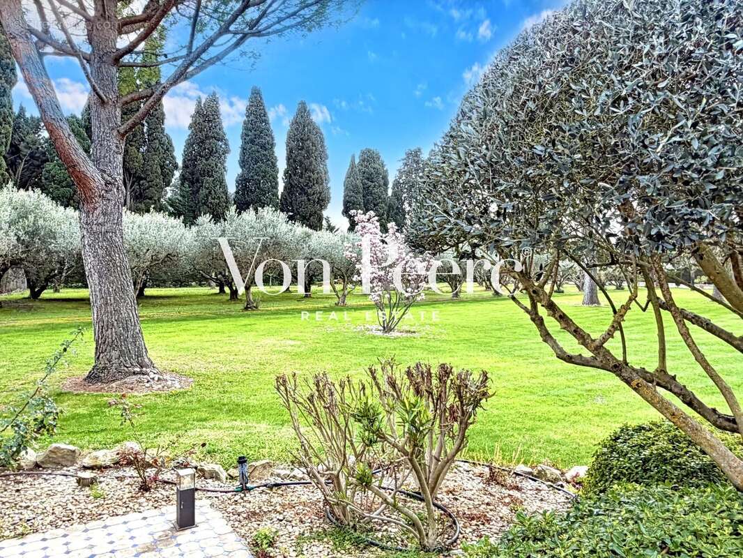 Maison à SAINT-REMY-DE-PROVENCE