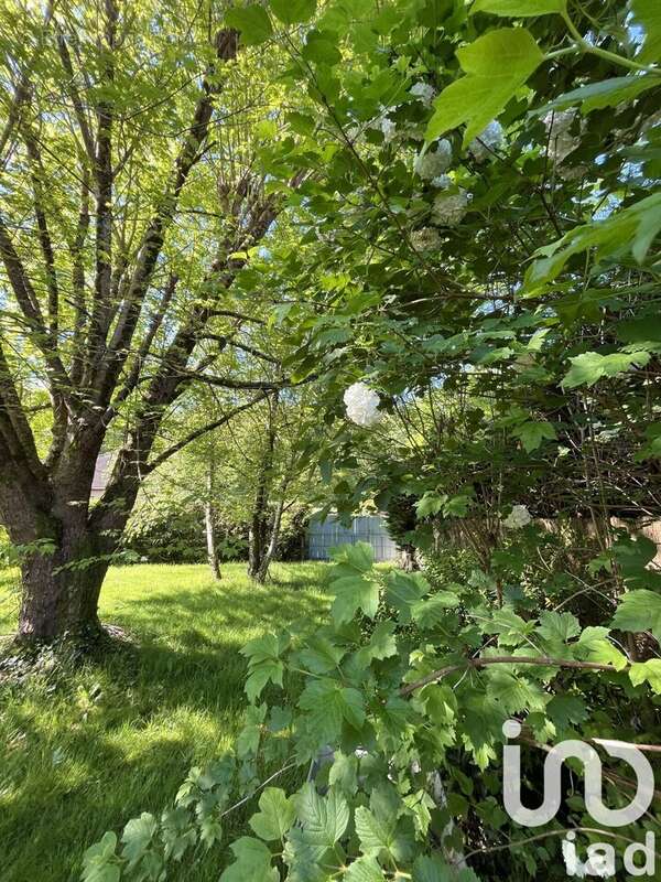 Photo 5 - Maison à ARBUS