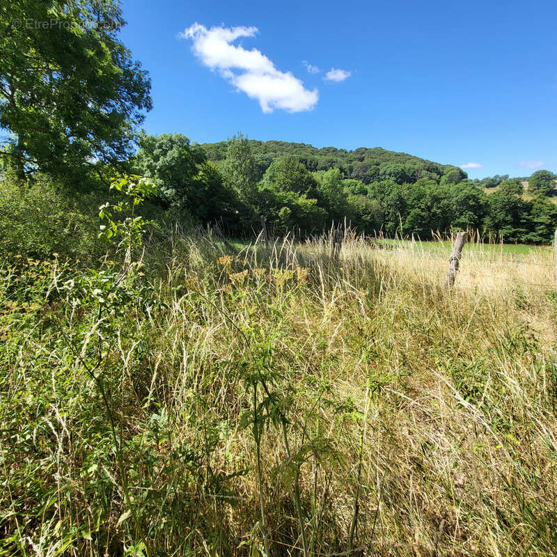 Grange en pierres - photo 10