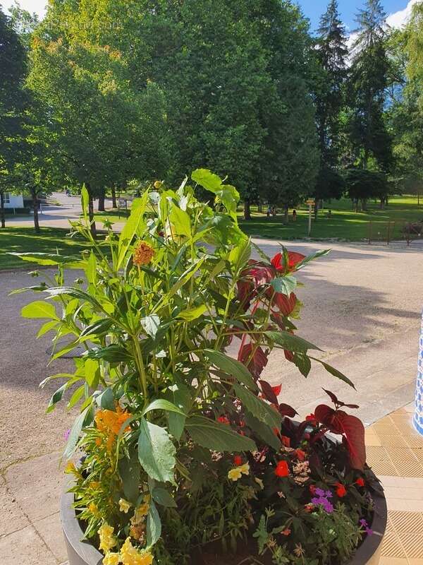 Appartement à CONTREXEVILLE