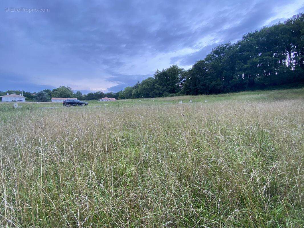 Terrain à CAUNEILLE