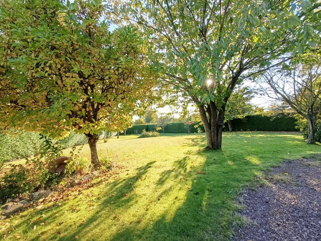 Maison à LA TRINITE