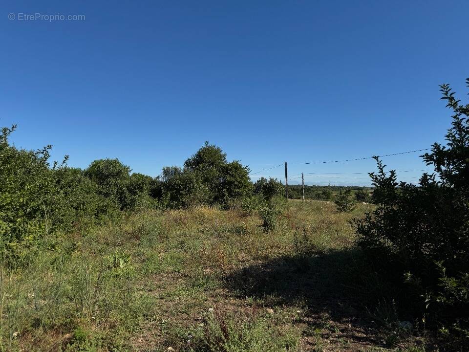 Terrain à MONTPEZAT