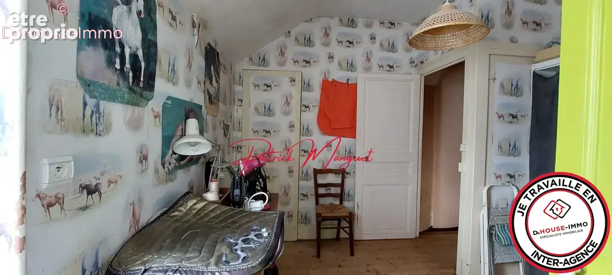 Maison 6 pièces 115 m² à vendre à Issoudun (36100) - photo 53