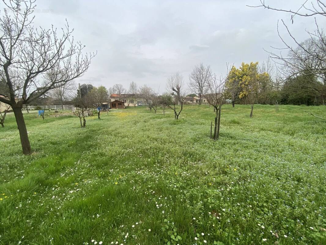 Terrain à GAILLAC