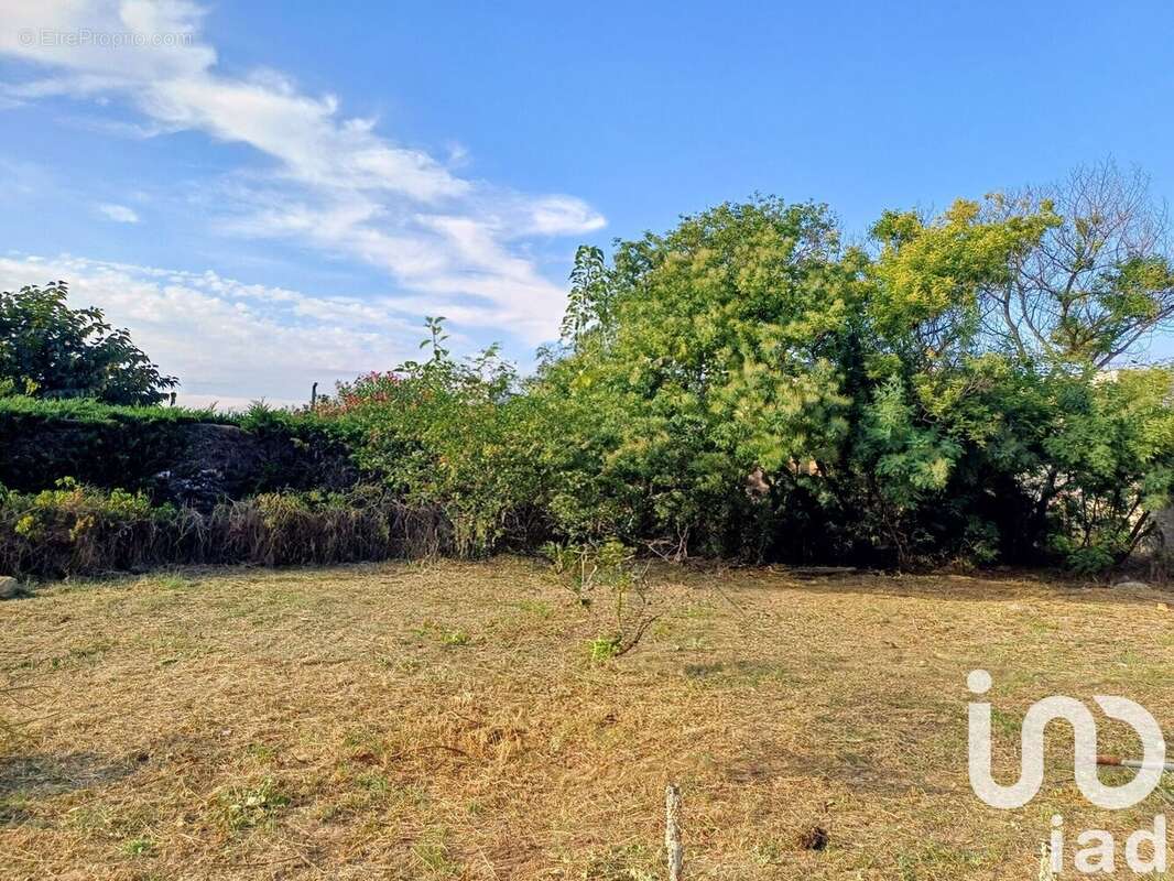 Photo 3 - Terrain à SERIGNAN