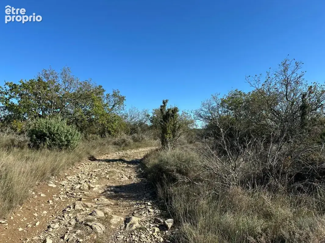 Terrain non constructible - photo 4