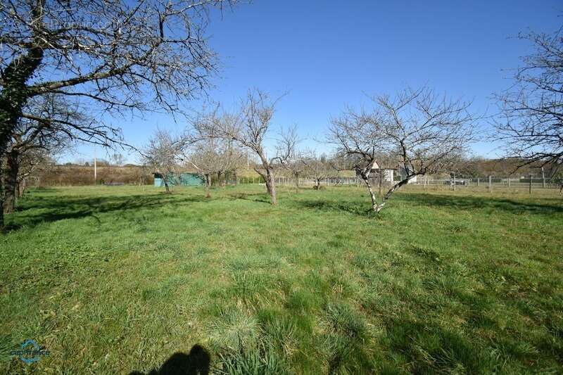 Maison à CHOUZY-SUR-CISSE