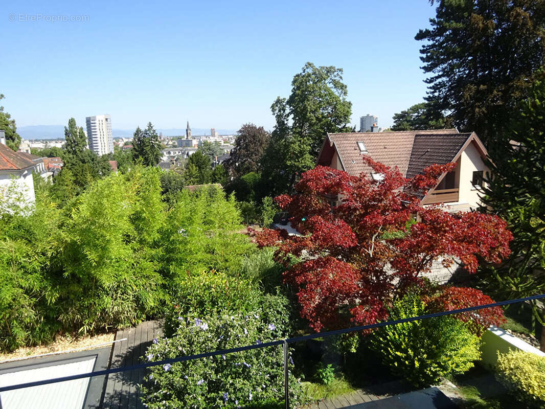 Villa Mulhouse 6 pièce(s) 260 m2 - photo 9