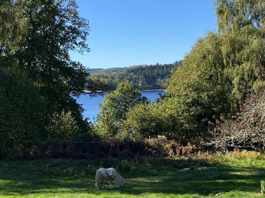 Maison à BEAUMONT-DU-LAC