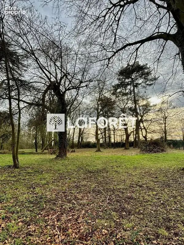 Demeure de prestige de 570 m2 - Campagne Lilloise - photo 20