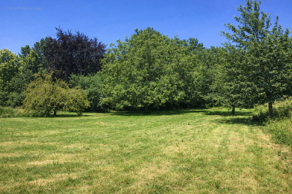 Maison à LARCEVEAU-ARROS-CIBITS