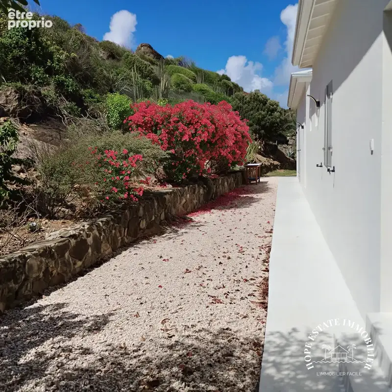 JARDIN ET ALLEE - Maison à SAINT-MARTIN