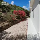 JARDIN ET ALLEE - Maison à SAINT-MARTIN