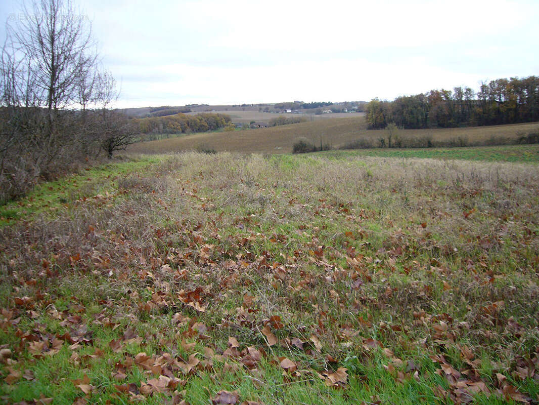 Terrain à CADOURS
