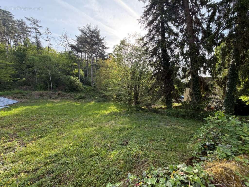 Terrain 900 m2 le creusot - photo 3