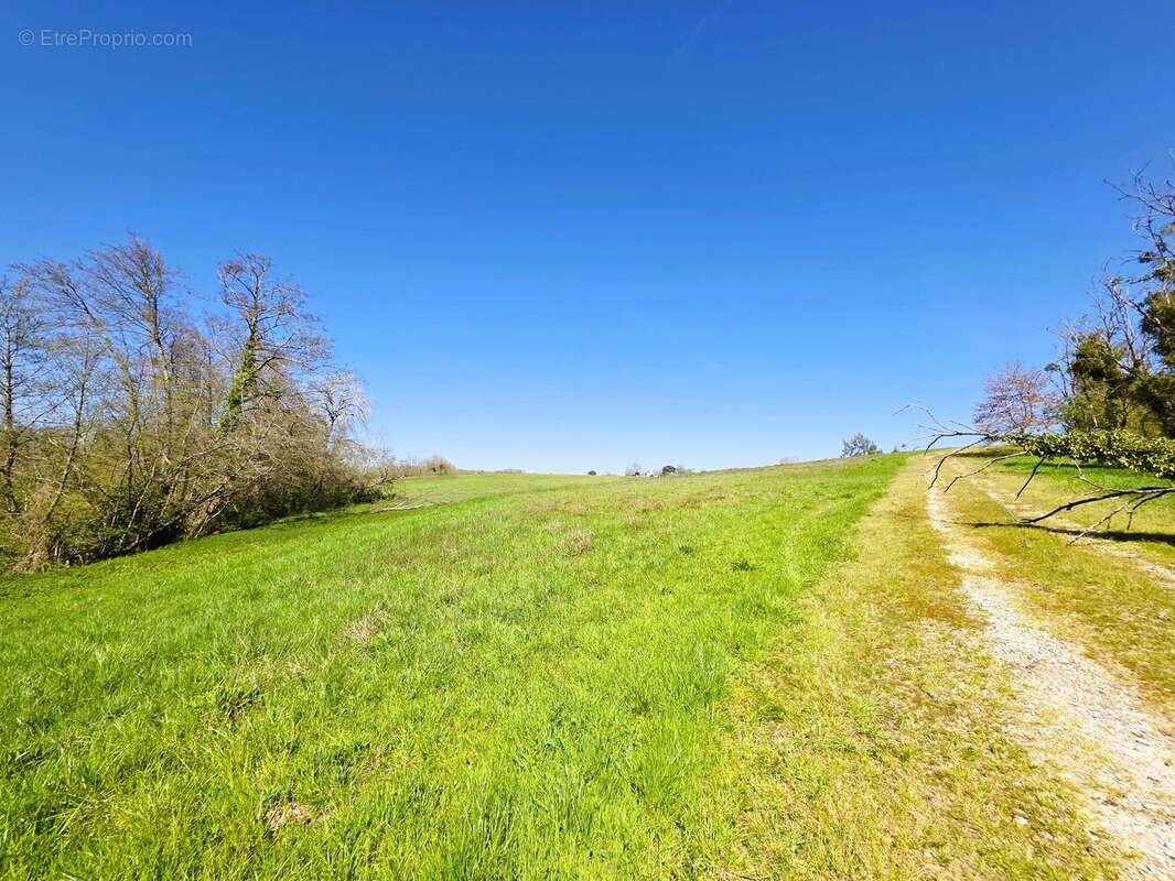 Terrain à MONSEGUR