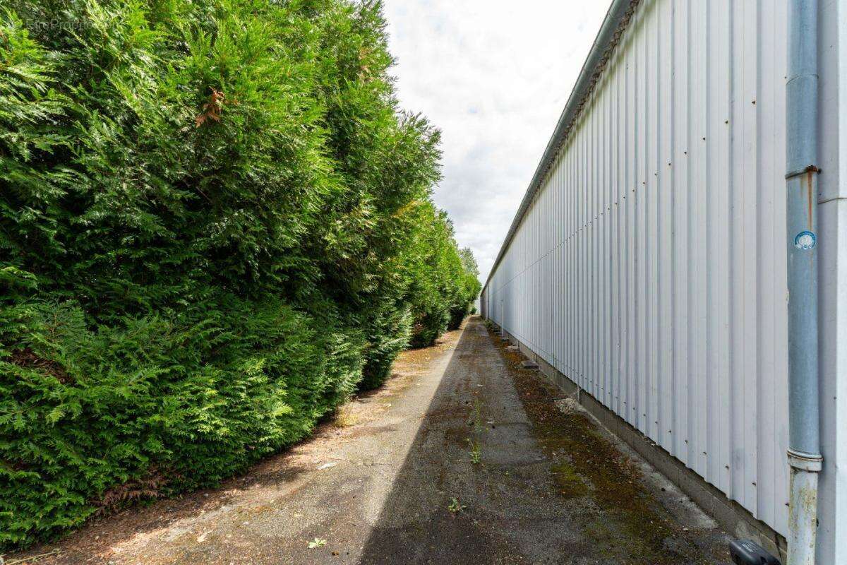 Appartement à LE PERRAY-EN-YVELINES