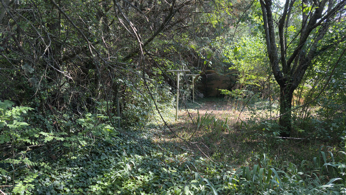 Exclusivité - Demeure d’exception du XVe siècle au cœur de la Provence - Saint Trinit (Vaucluse) - photo 13