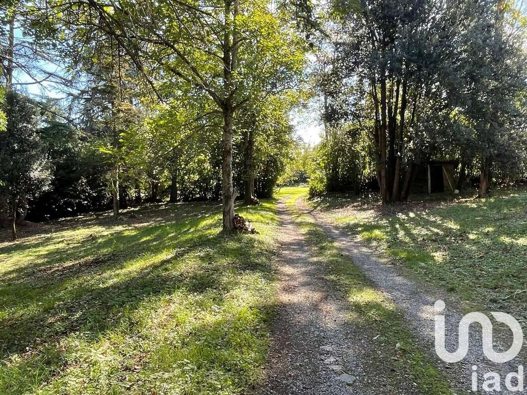 Photo 4 - Maison à DEYME