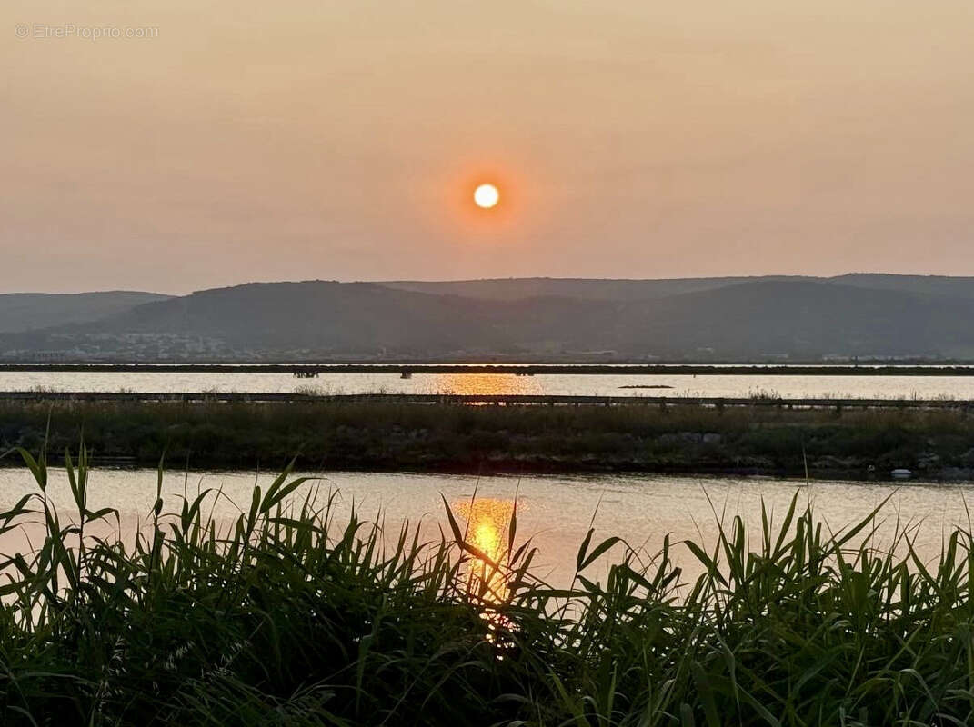 Maison à FRONTIGNAN