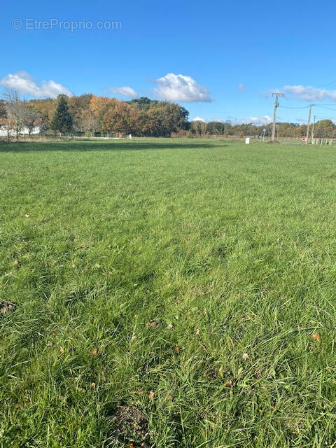 Terrain à SAINT-AIGULIN