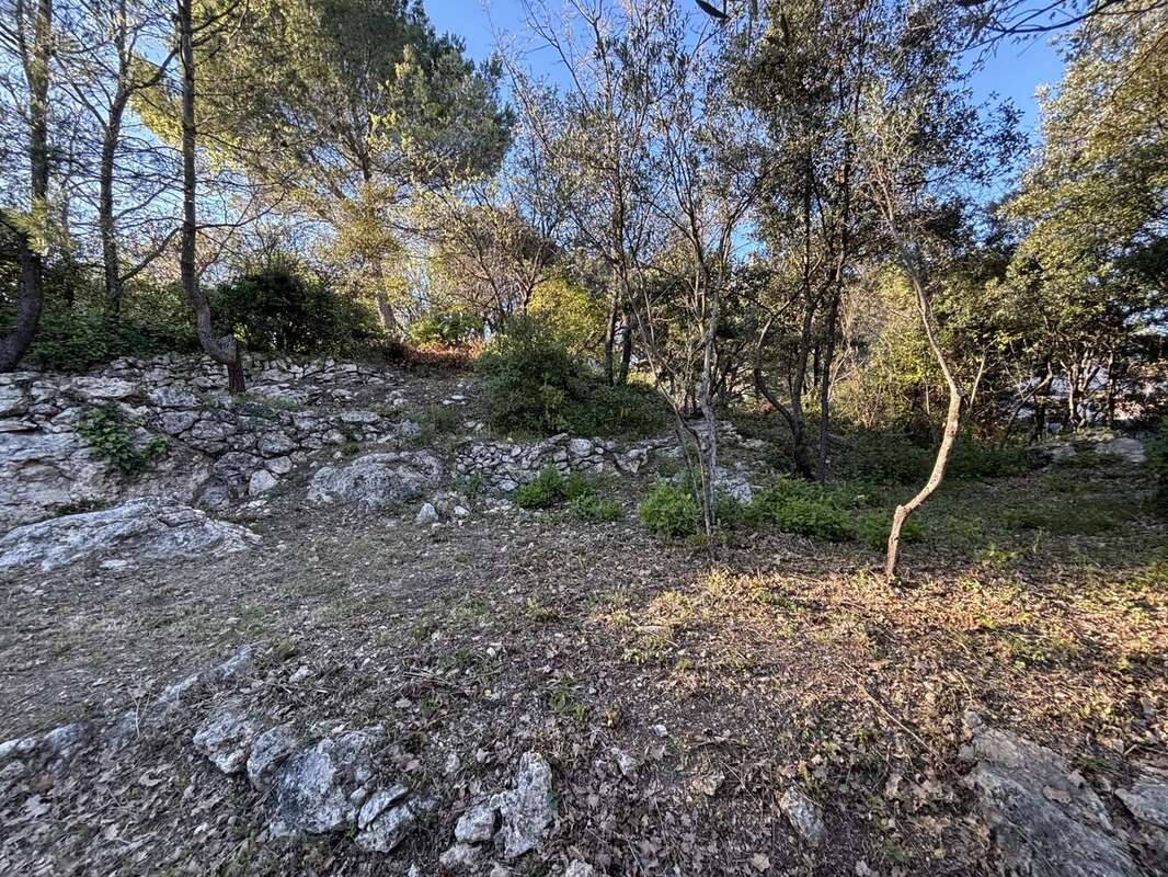 Terrain à FIGANIERES