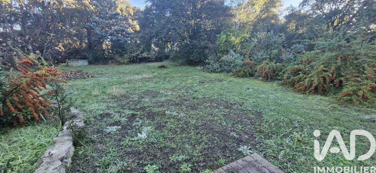 Photo 3 - Terrain à VILLEVIEILLE