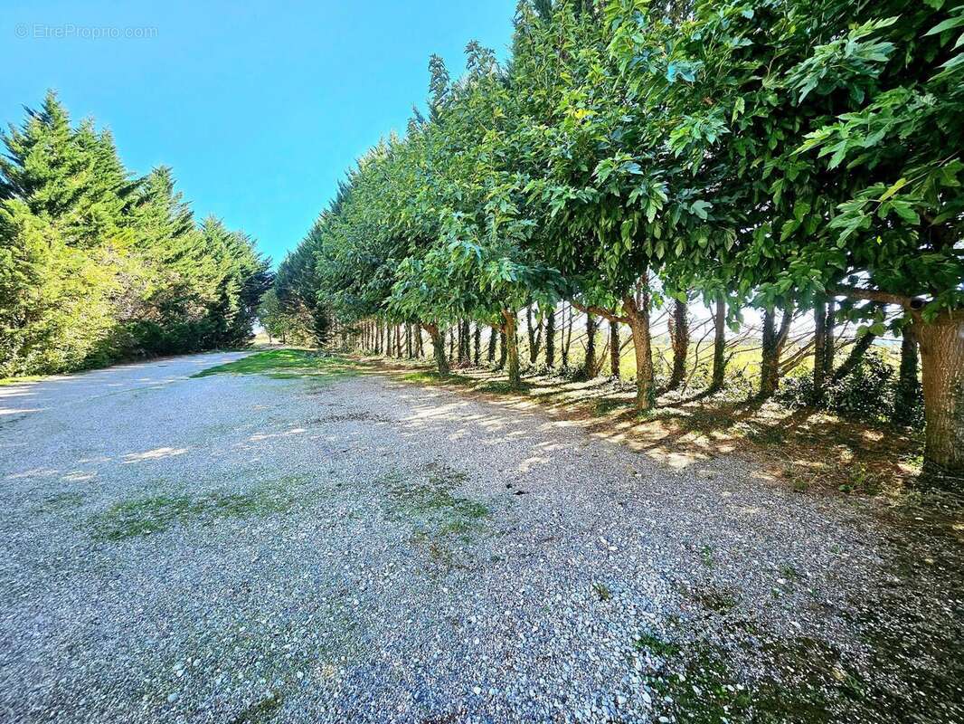 Photo 9 - Appartement à MONTREAL