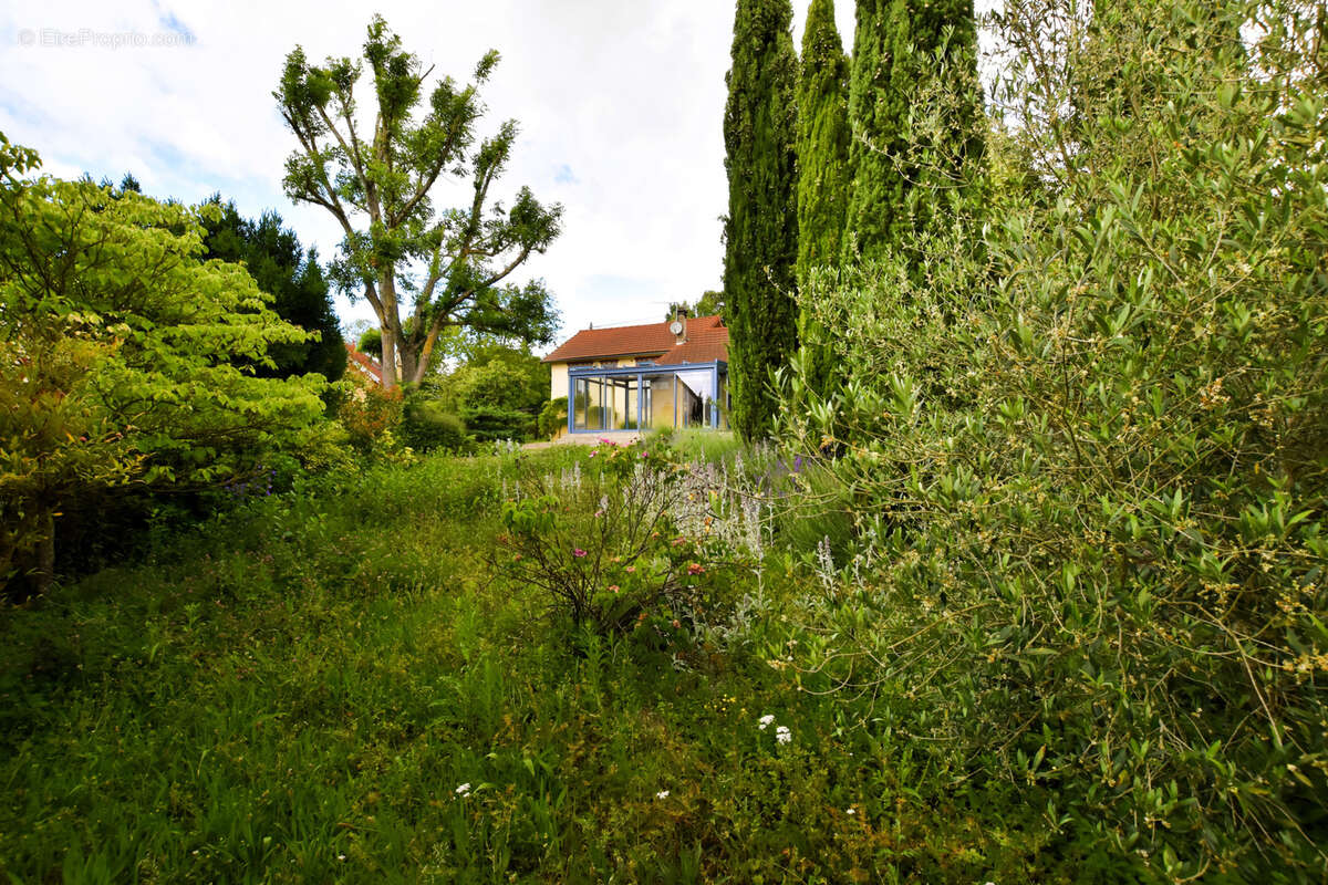 Maison à MAULE