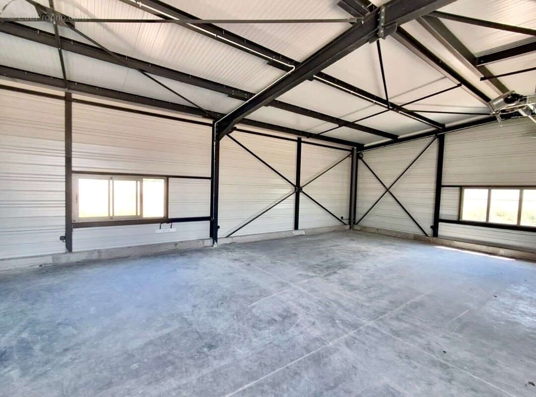 Commerce à SAINT-SAVINIEN