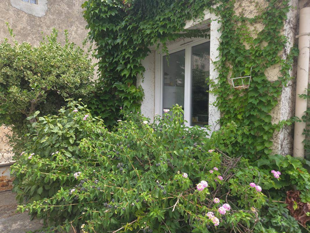 Capendu : maison bourgeoise et studio independant - photo 1