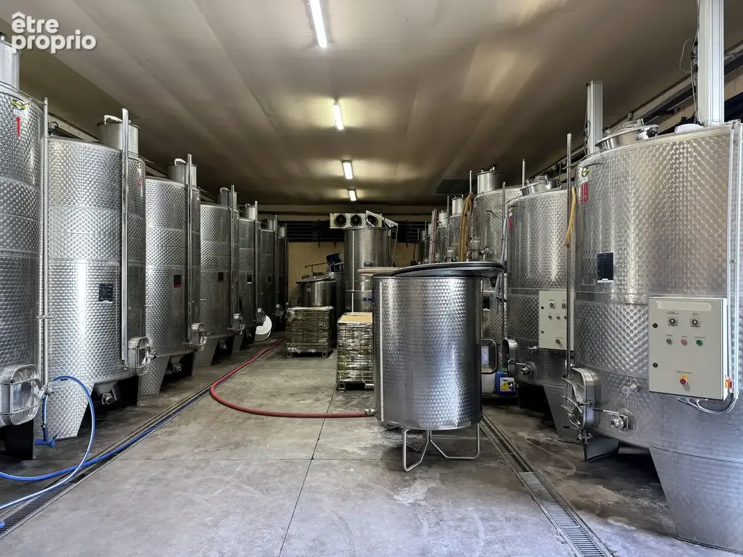 Sud luberon   domaine viticole de 39 ha avec bastide de caractère - photo 14
