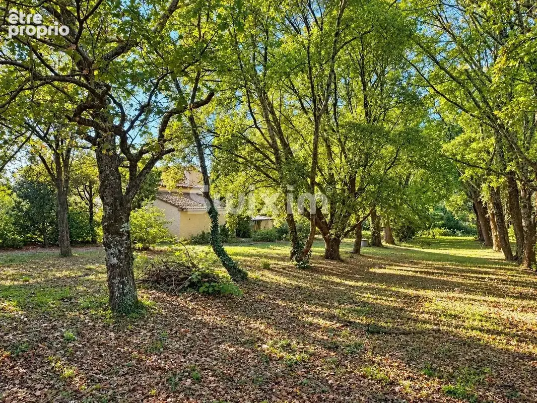 GRIGNAN – Maison de 134,6 m² sur parc arboré de 4 023 m² – Fort potentiel d'agrandissement - photo 2