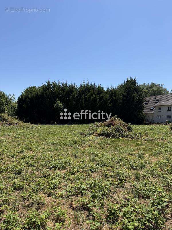 Terrain 1156 m² à Bartenheim  - photo 3