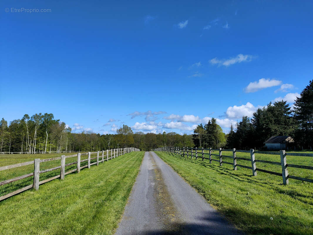 Propriété équestre avec 13 hectares - photo 39