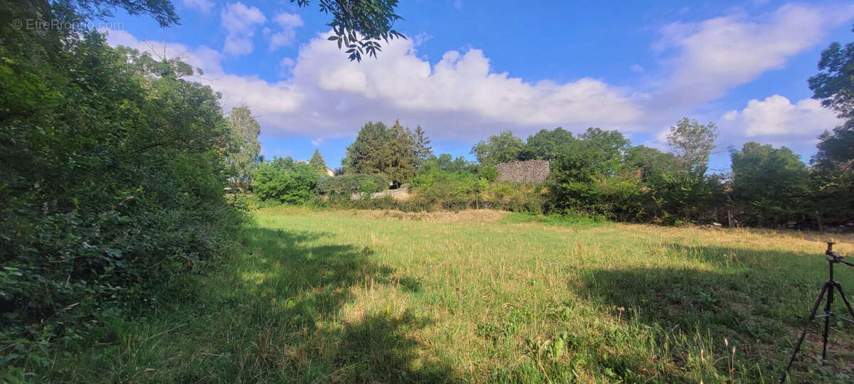 terrain constructible non viabilisé d'une surface de 1793m² - photo 3