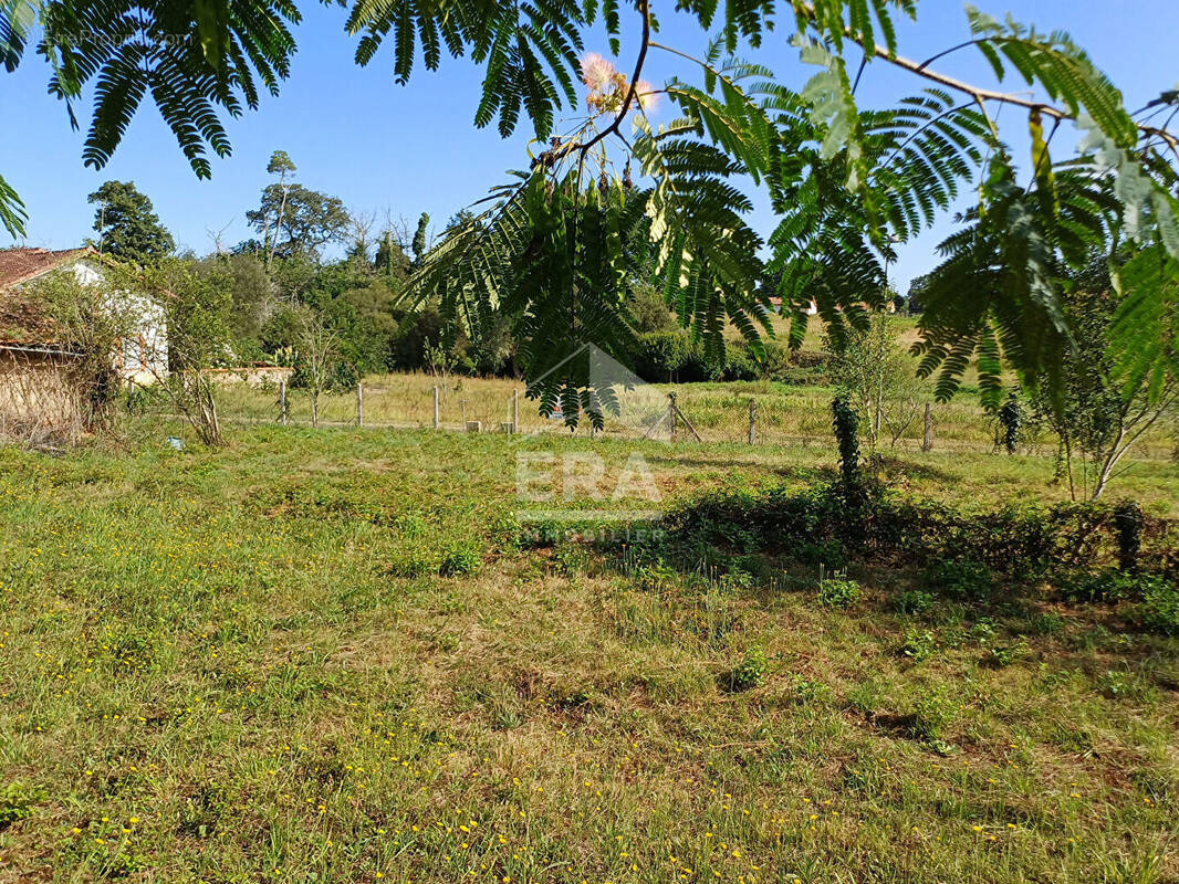 Terrain à MONT-DE-MARSAN