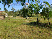 Terrain à MONT-DE-MARSAN