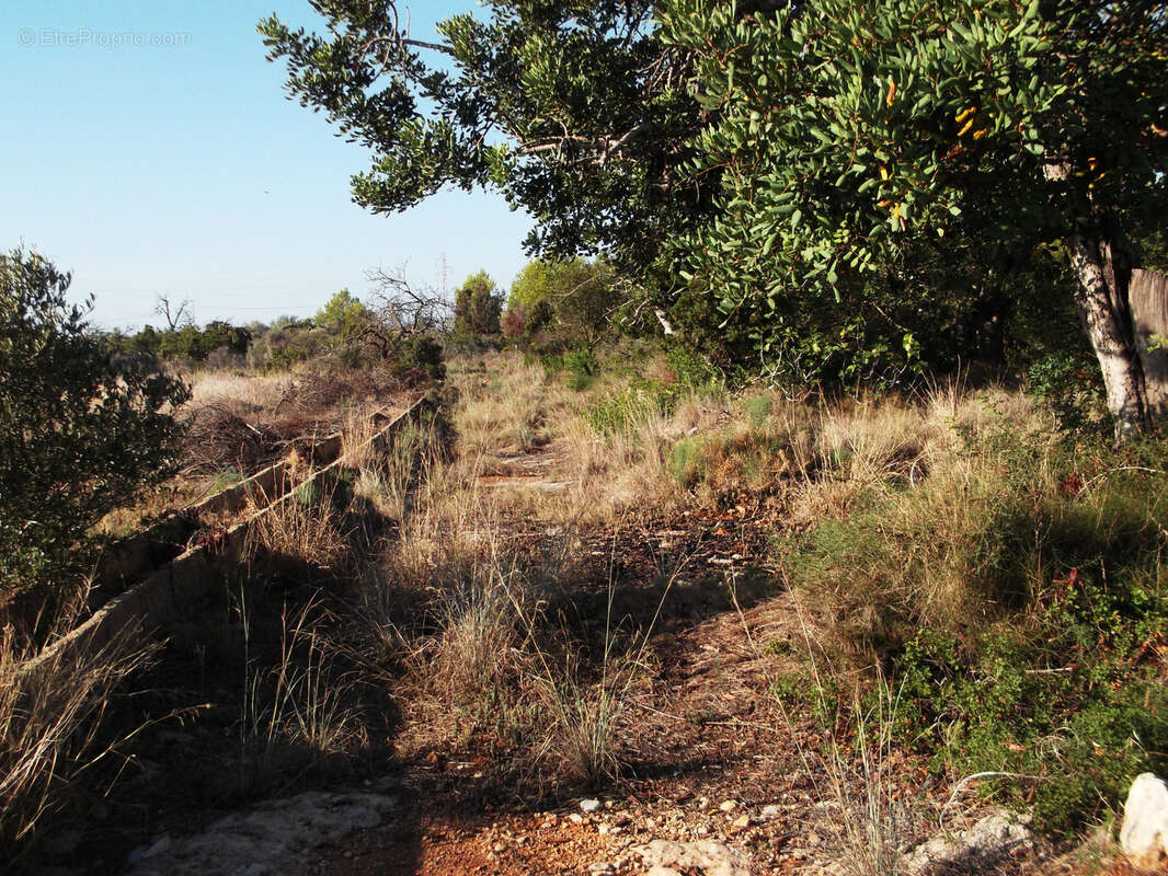 Terrain à PERPIGNAN